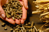free Wymm biomass boiler quotes