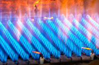 Wymm gas fired boilers